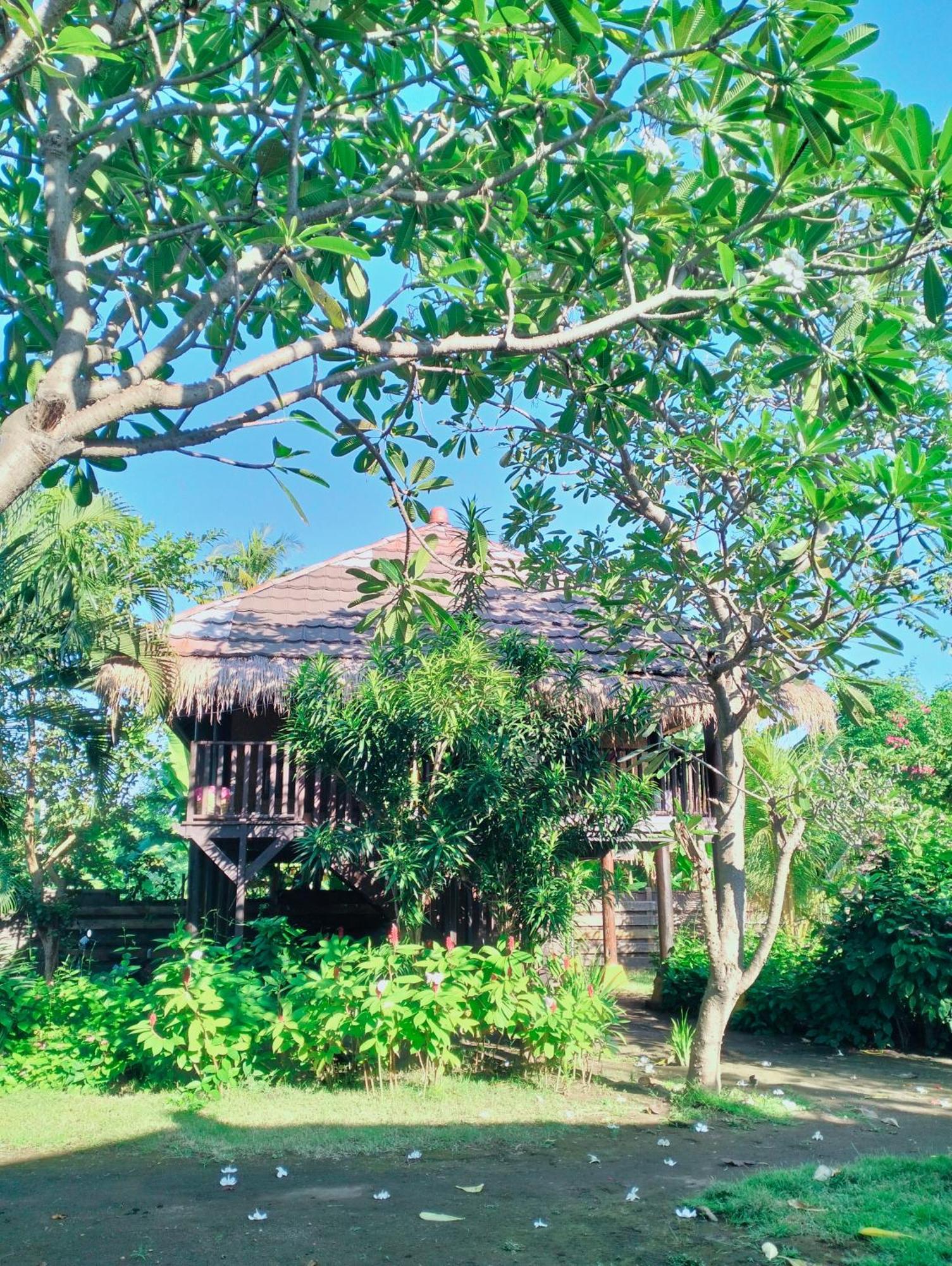 Tangga Bungalows ギリ・アイル 部屋 写真
